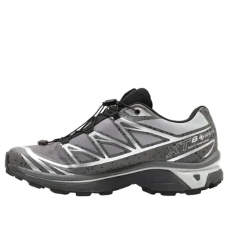 SALOMON x atmos XT-6 Gore-Tex «Concrete Jungle»