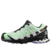 SALOMON XA PRO 3d V8 Gtx «Green Black»