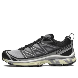 Salomon XT-6 Expanse «Alloy Quiet Shade Black»