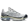 Salomon XT-6 FT «Grey»