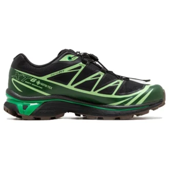 Salomon XT-6 GTX «Black Eden Green Ash»