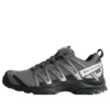XA PRO 3D Gore-Tex «Pewter Silver Cloud»