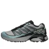 XT-PATHWAY «Ghost Grey Arona» XT-PATHWAY «Ghost Grey Arona»